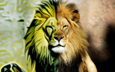Digital Oil Art Photoshop Actions