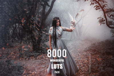 The 8000+ Wonderful LUTs Bundle-Add-Ons-Artixty