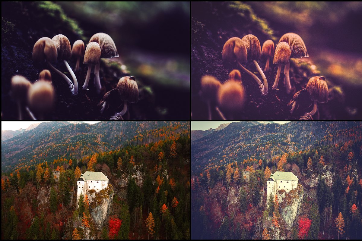 7000+ Professional Lightroom Presets - Artixty