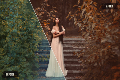 The 8000+ Wonderful LUTs Bundle-Add-Ons-Artixty