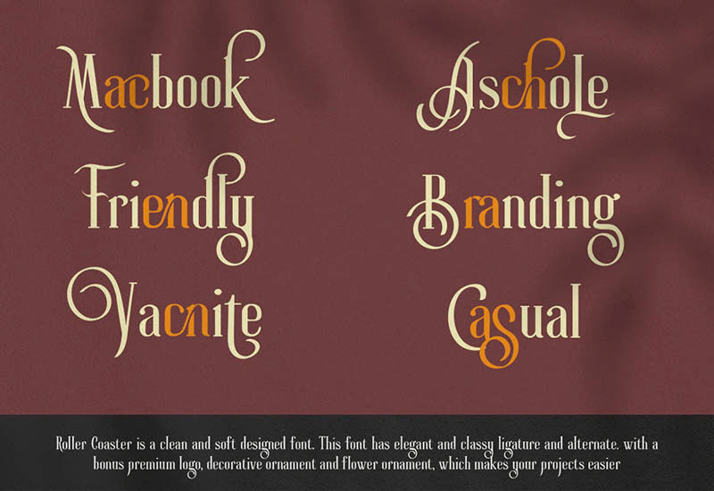 The Massive Vintage Font Bundle - 15 Fonts - Artixty