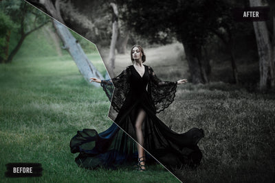 The 8000+ Wonderful LUTs Bundle-Add-Ons-Artixty