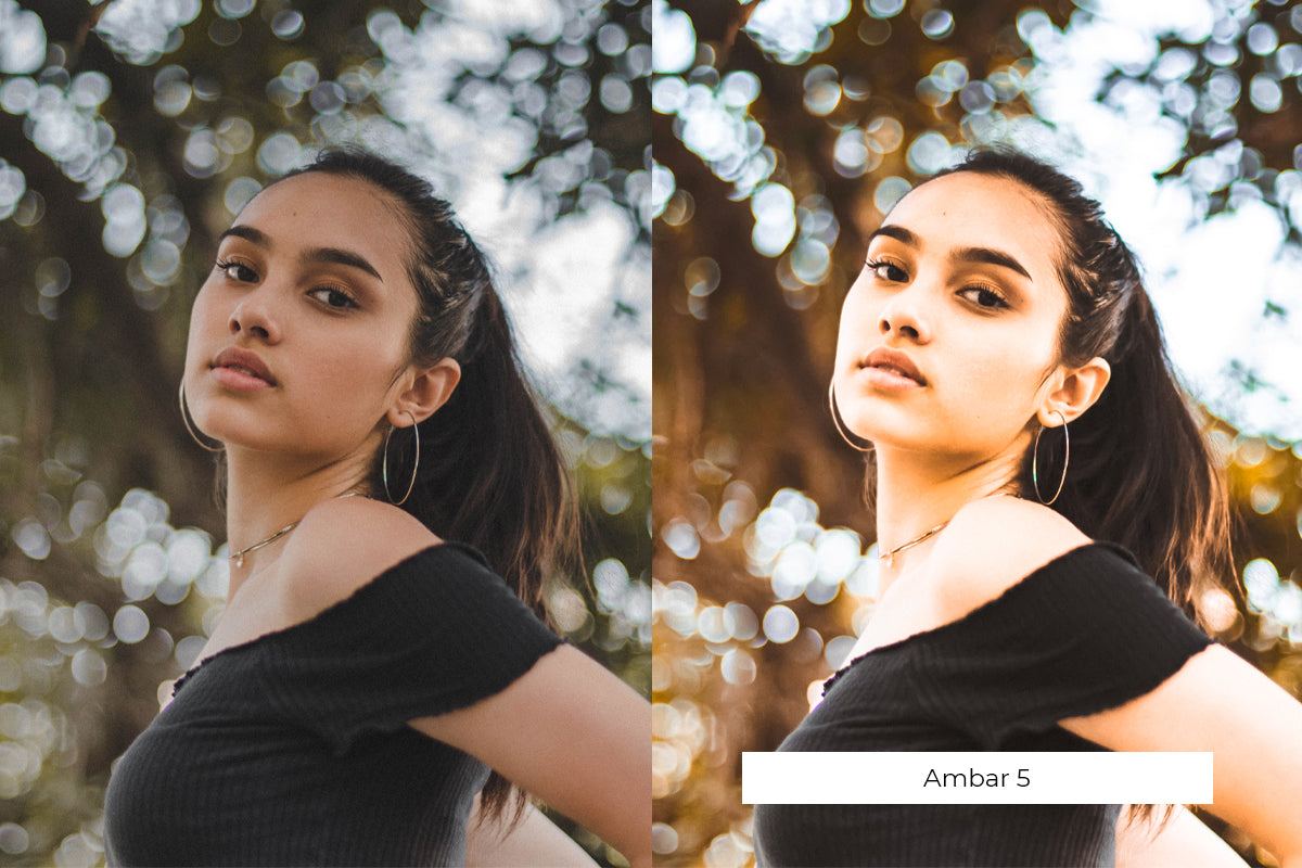 The Lightroom Presets Collection - 216 Presets