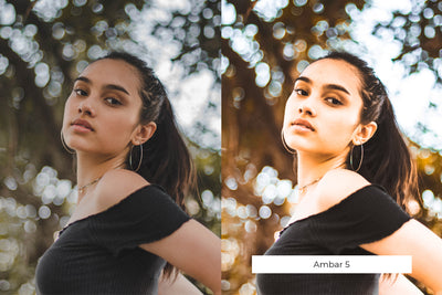 The Lightroom Presets Collection - 216 Presets