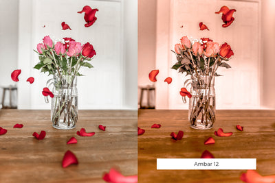 The Lightroom Presets Collection - 216 Presets