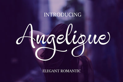 27 Elegant Script Fonts Mega Bundle - Artixty