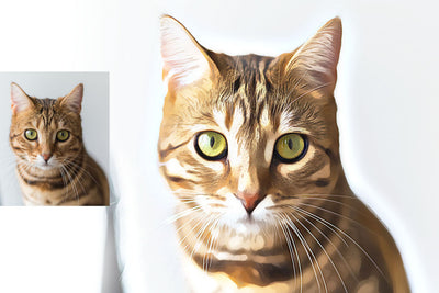 Digital Oil Painting Photoshop Actions Bundle
