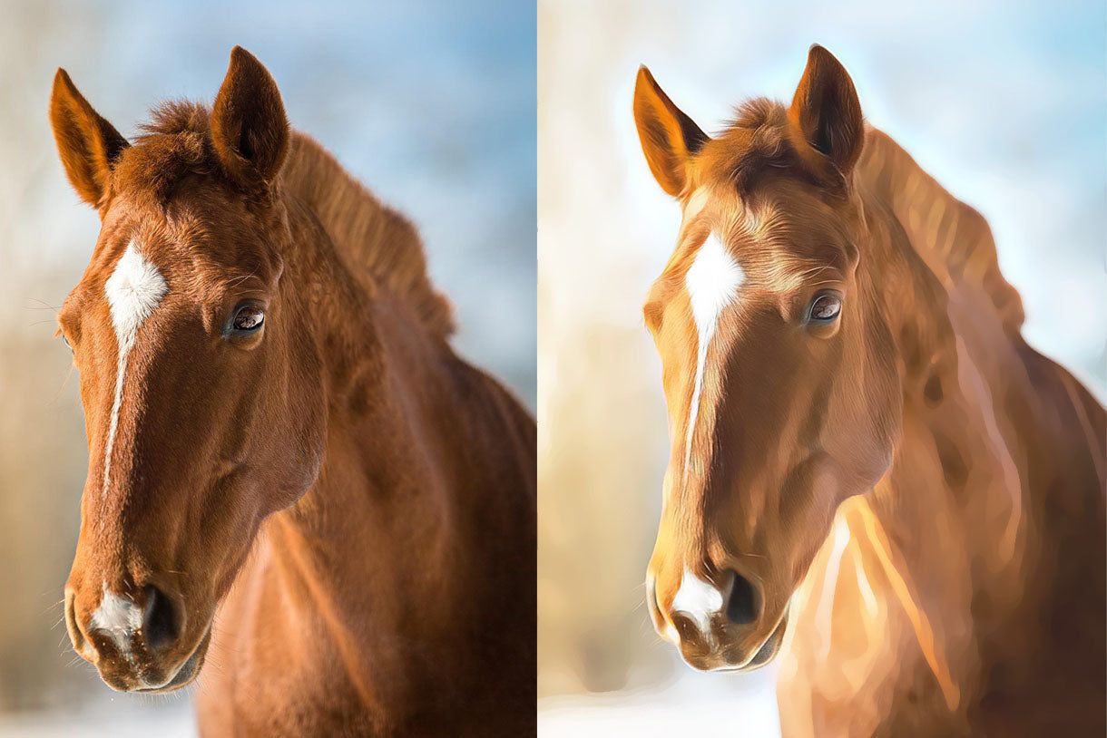 Digital Oil Painting Photoshop Actions Bundle
