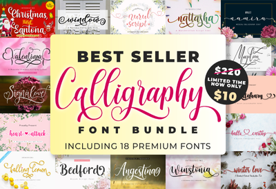 Best Seller Calligraphy Font Bundle - 18 Unique Fonts-Fonts-Artixty