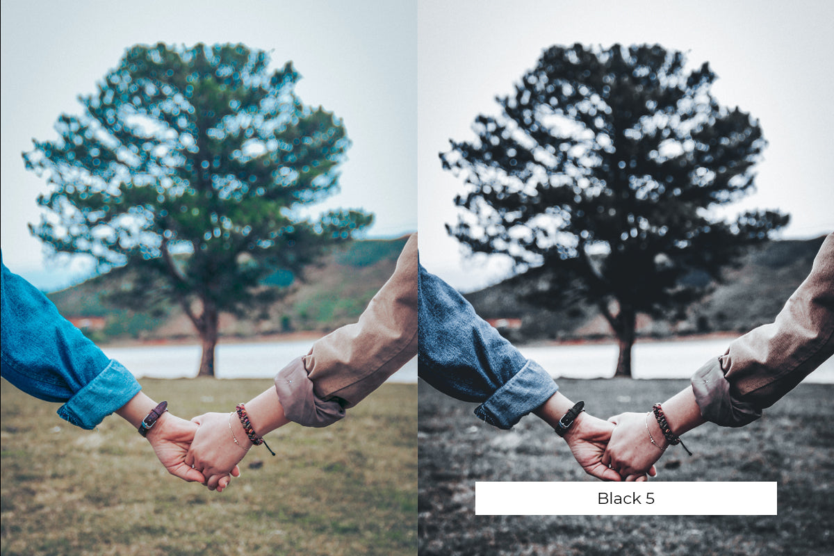 The Lightroom Presets Collection - 216 Presets