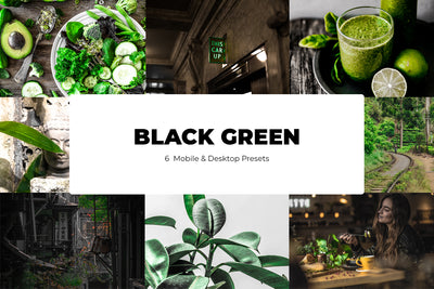 The Lightroom Presets Collection - 216 Presets
