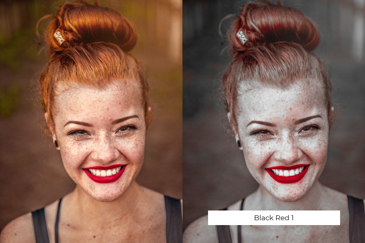 The Lightroom Presets Collection - 216 Presets