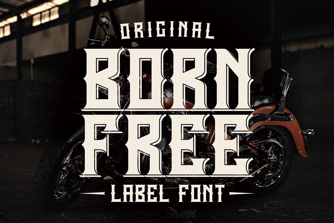 The Big Bundle Of Cool Fonts - 450+ Typefaces-Fonts-Artixty