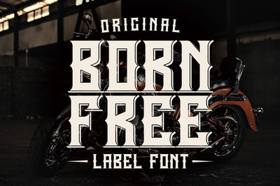 The Big Bundle Of Cool Fonts - 450+ Typefaces-Fonts-Artixty