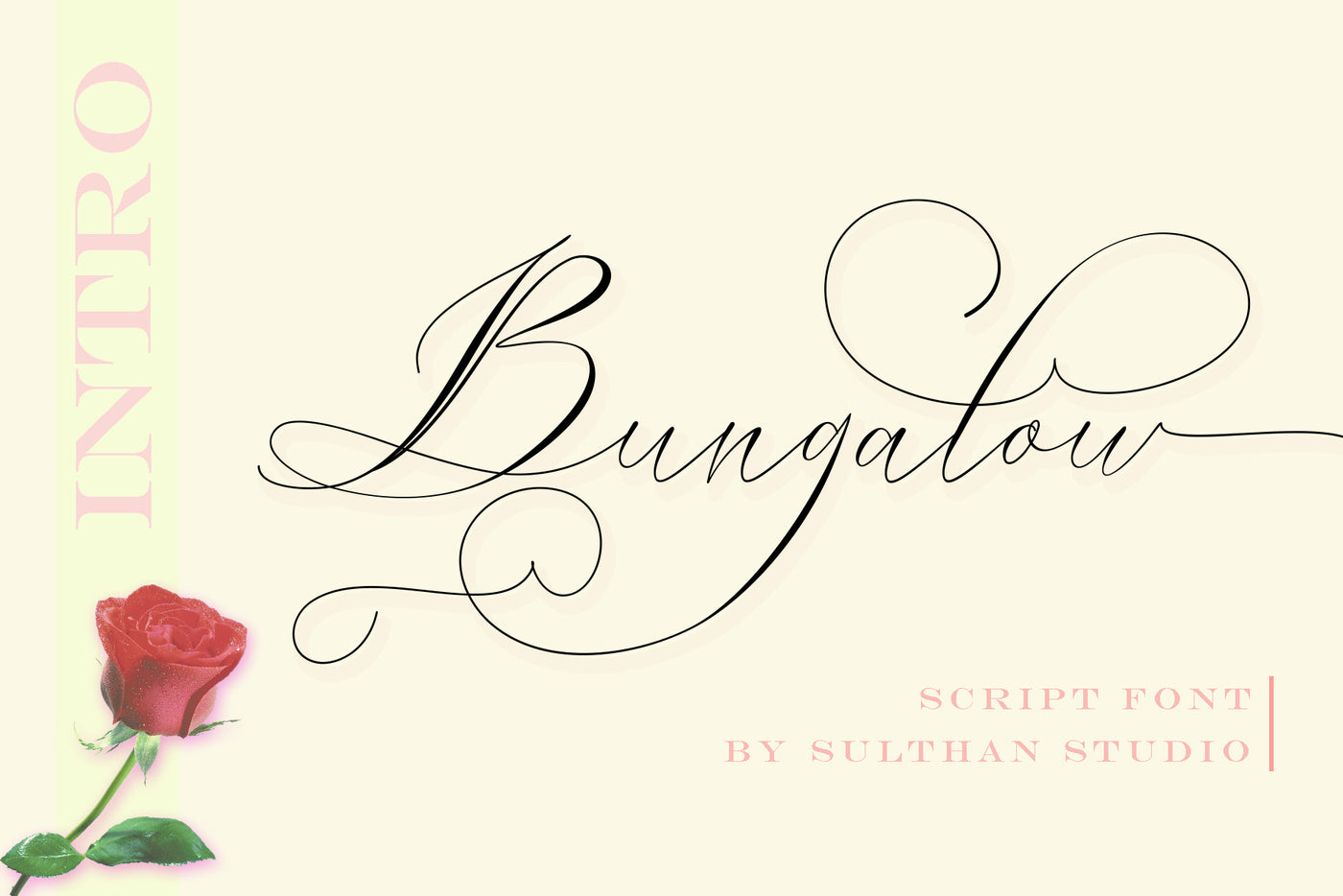 The Swashy Font Bundle - 54 Fonts - Artixty