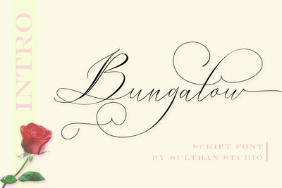 The Swashy Font Bundle - 54 Fonts - Artixty