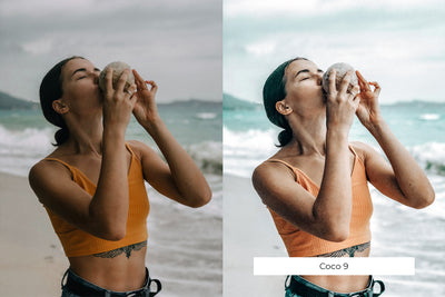 The Lightroom Presets Collection - 216 Presets