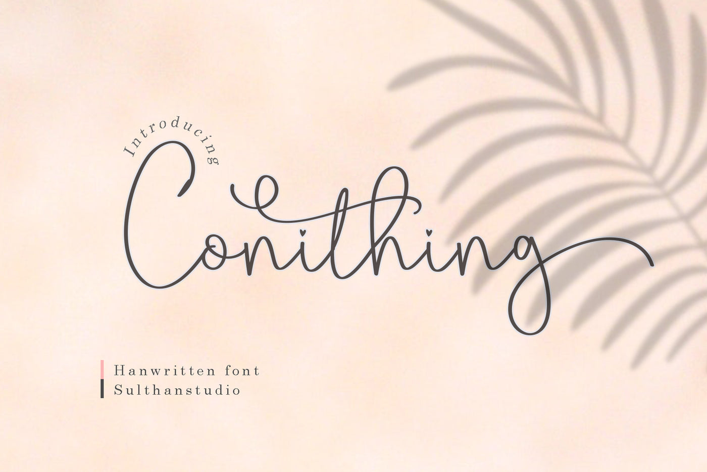 The Swashy Font Bundle - 54 Fonts - Artixty