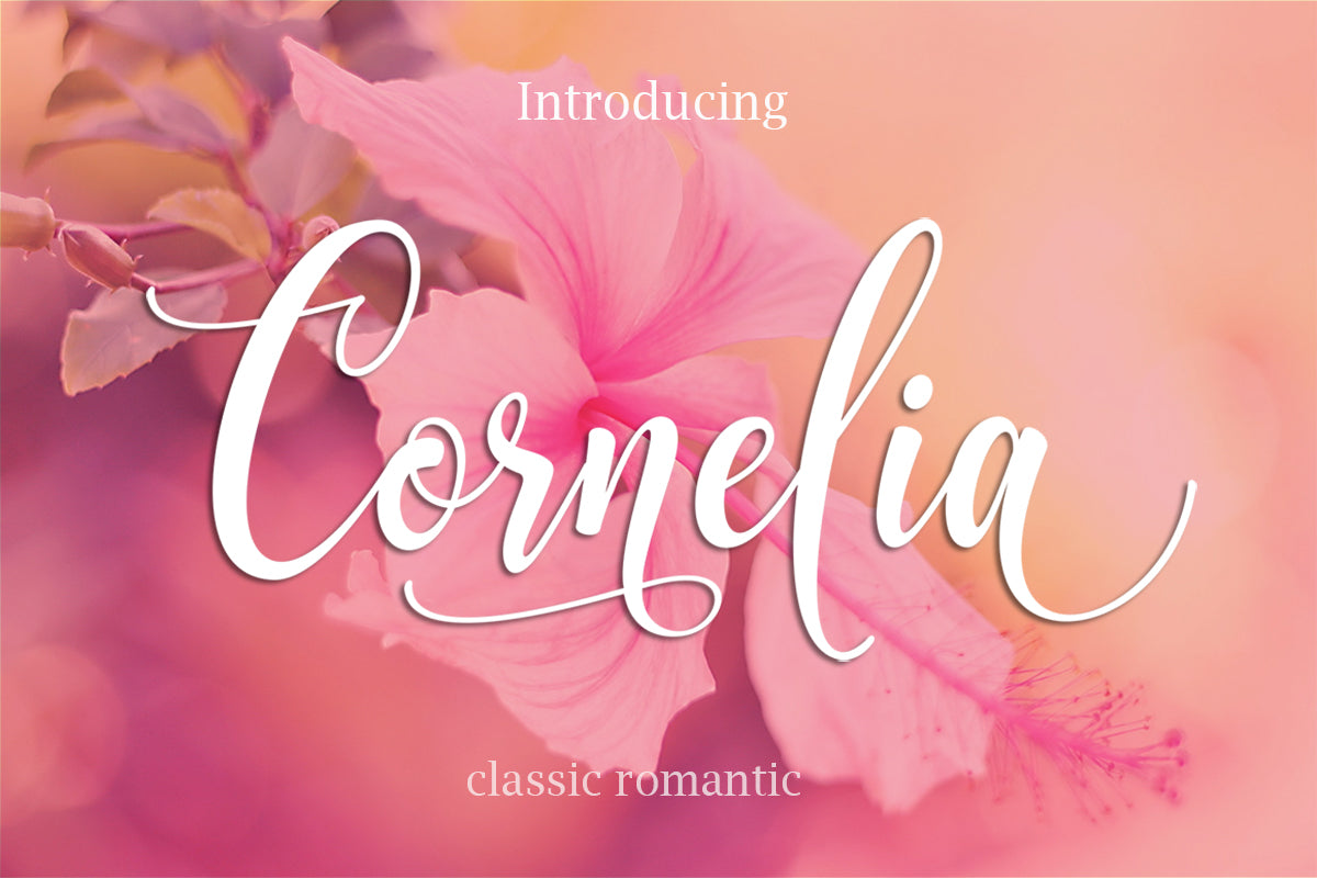 27 Elegant Script Fonts Mega Bundle - Artixty