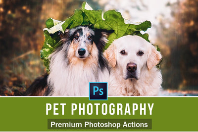 The Complete Pet Photography Collection-Learning-Artixty