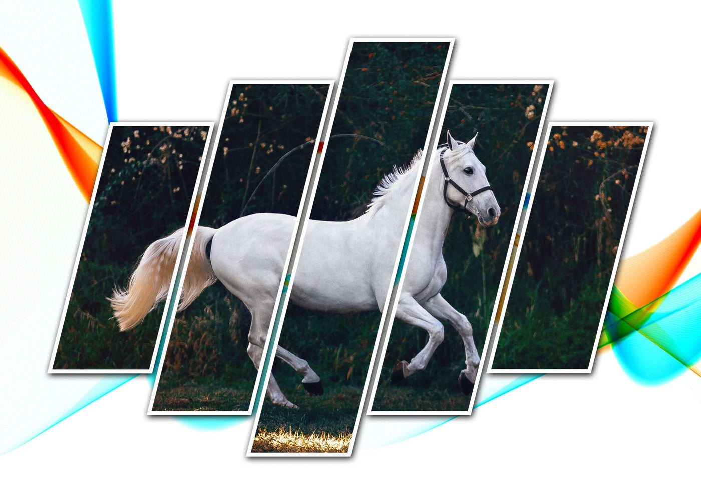 The 40-in-1 Magnificent Photoshop Templates Bundle-Add-Ons-Artixty