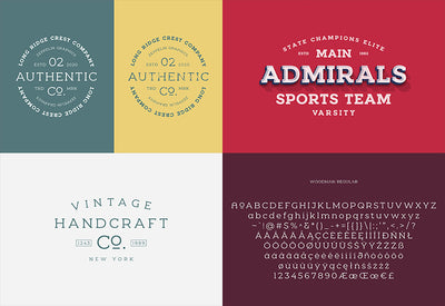 The Diversity Font Bundle - 72 Premium Fonts-Fonts-Artixty