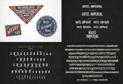 The Diversity Font Bundle - 72 Premium Fonts-Fonts-Artixty