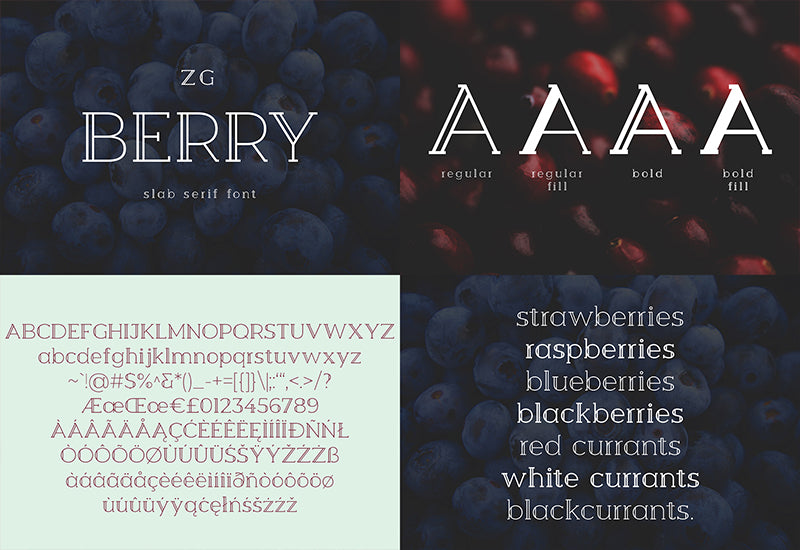The Diversity Font Bundle - 72 Premium Fonts-Fonts-Artixty
