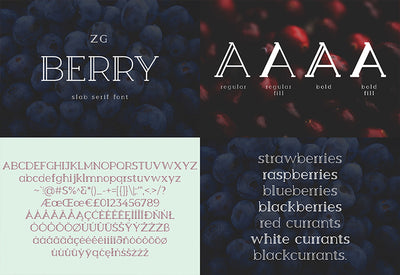 The Diversity Font Bundle - 72 Premium Fonts-Fonts-Artixty