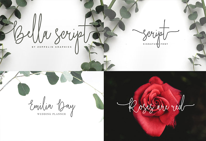 The Diversity Font Bundle - 72 Premium Fonts-Fonts-Artixty