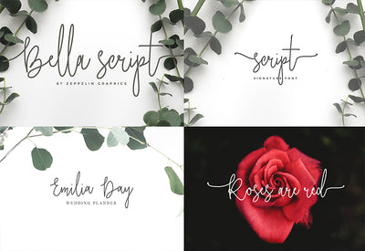 The Diversity Font Bundle - 72 Premium Fonts-Fonts-Artixty