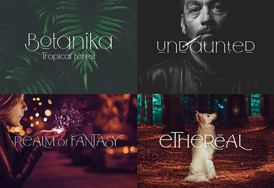 The Diversity Font Bundle - 72 Premium Fonts-Fonts-Artixty