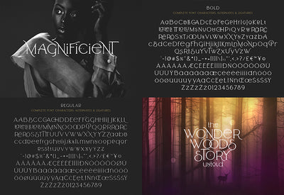 The Diversity Font Bundle - 72 Premium Fonts-Fonts-Artixty