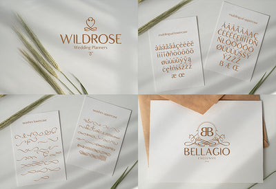 The Diversity Font Bundle - 72 Premium Fonts-Fonts-Artixty