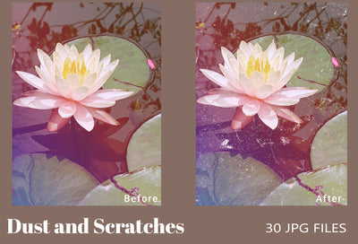 The Enchanting Photo Overlays Bundle - 1900+ Overlays-Graphics-Artixty