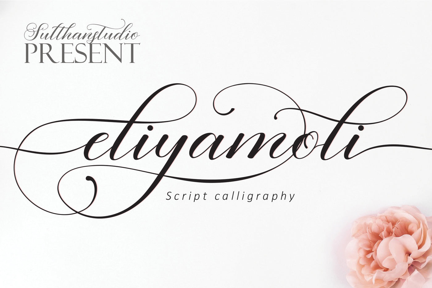 The Swashy Font Bundle - 54 Fonts - Artixty