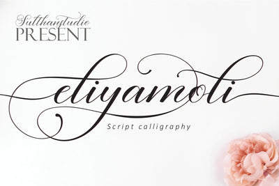 The Swashy Font Bundle - 54 Fonts - Artixty