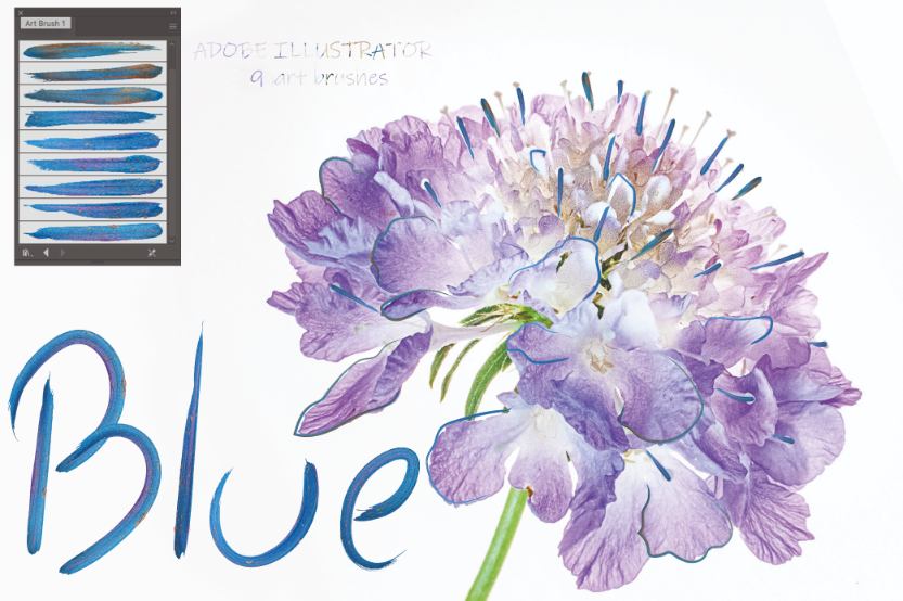 700+ Colourful Illustrator Brushes Bundle-Add-Ons-Artixty