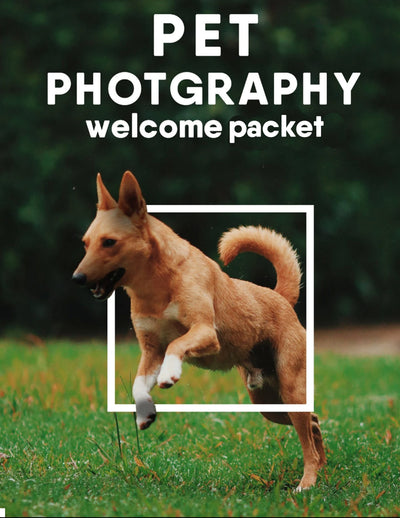 The Complete Pet Photography Collection-Learning-Artixty
