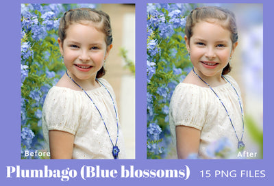 The Enchanting Photo Overlays Bundle - 1900+ Overlays-Graphics-Artixty