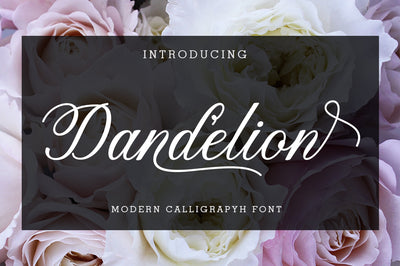 Gorgeous Calligraphy Fonts Bundle - Artixty