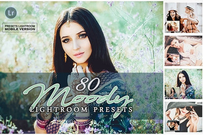 The Mega Bundle Of 20,000 Lightroom Presets - Artixty