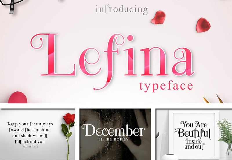 The Delight Font Bundle - 66 Fonts + Extras - Artixty