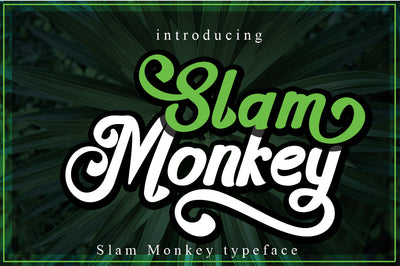 The Spectacular Font Bundle - 15 Fonts Collection - Artixty