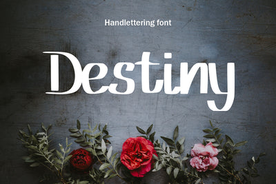 The Supermassive Bundle Of 850 Professional Fonts - Artixty