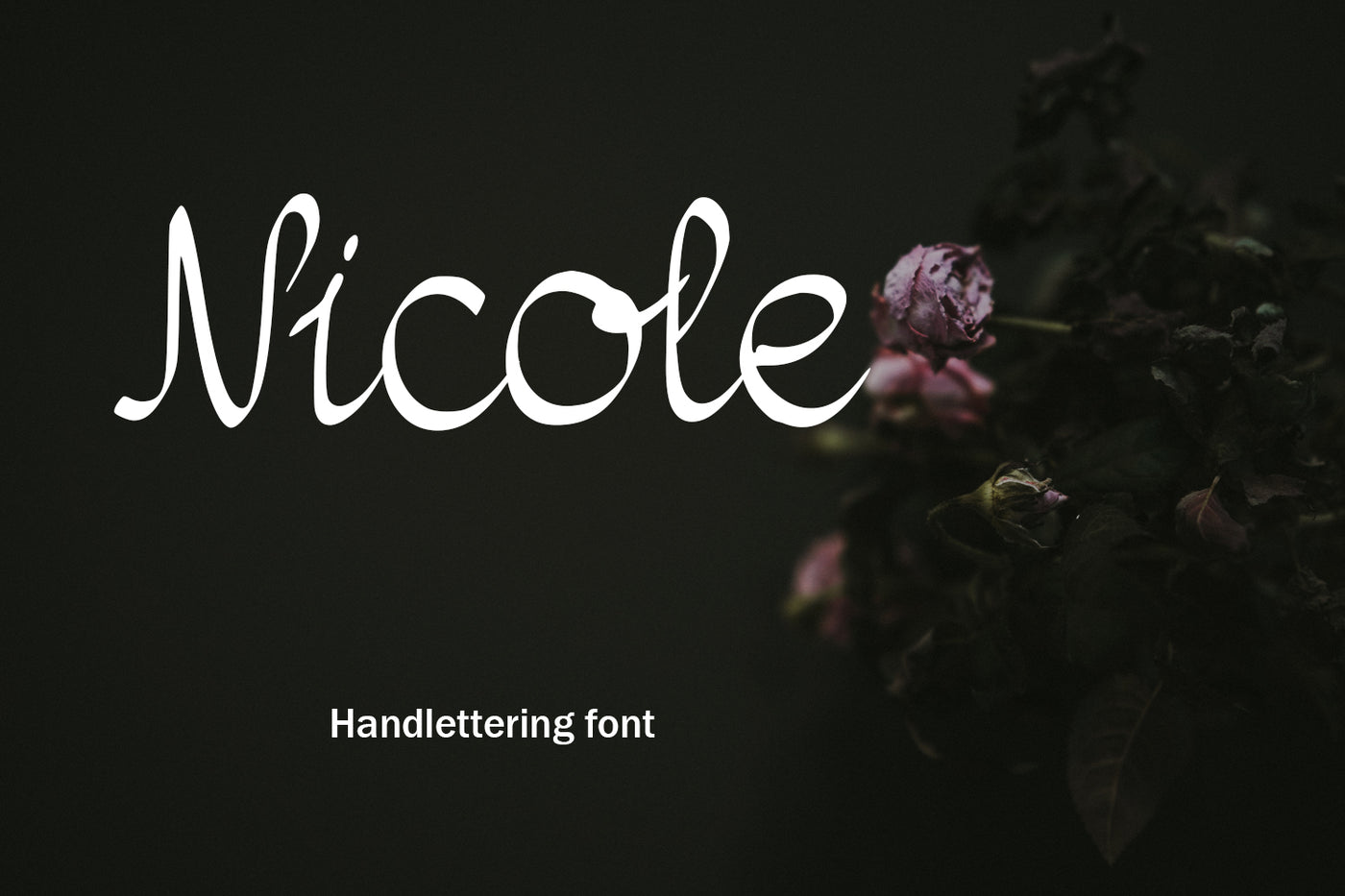 The Supermassive Bundle Of 850 Professional Fonts - Artixty