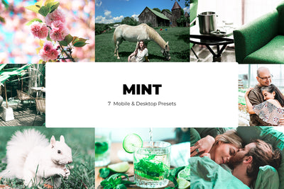 The Lightroom Presets Collection - 216 Presets