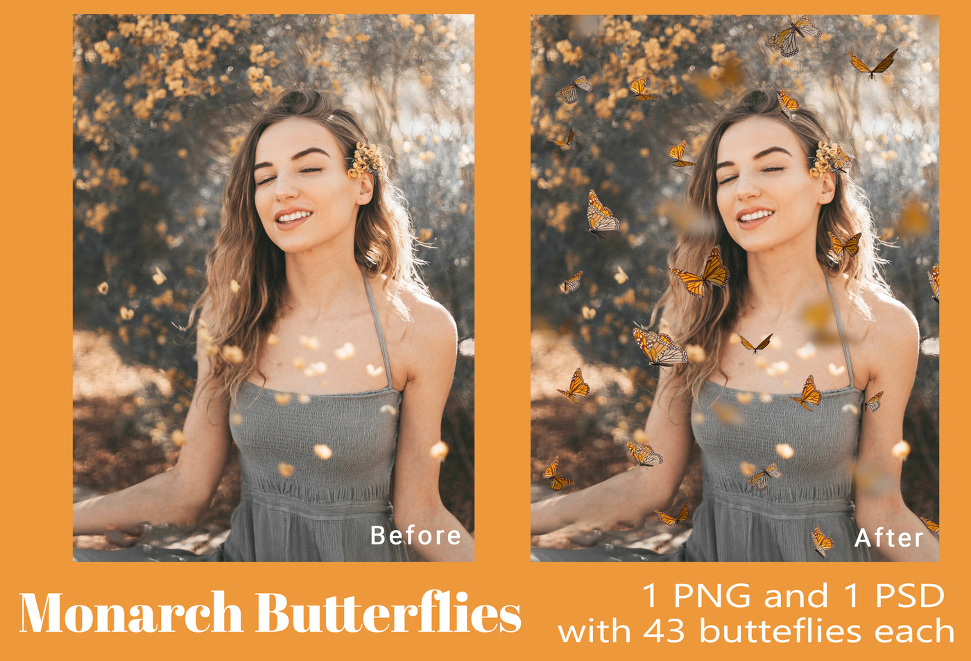 The Enchanting Photo Overlays Bundle - 1900+ Overlays-Graphics-Artixty