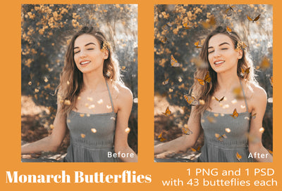 The Enchanting Photo Overlays Bundle - 1900+ Overlays-Graphics-Artixty