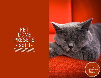 The Complete Pet Photography Collection-Learning-Artixty